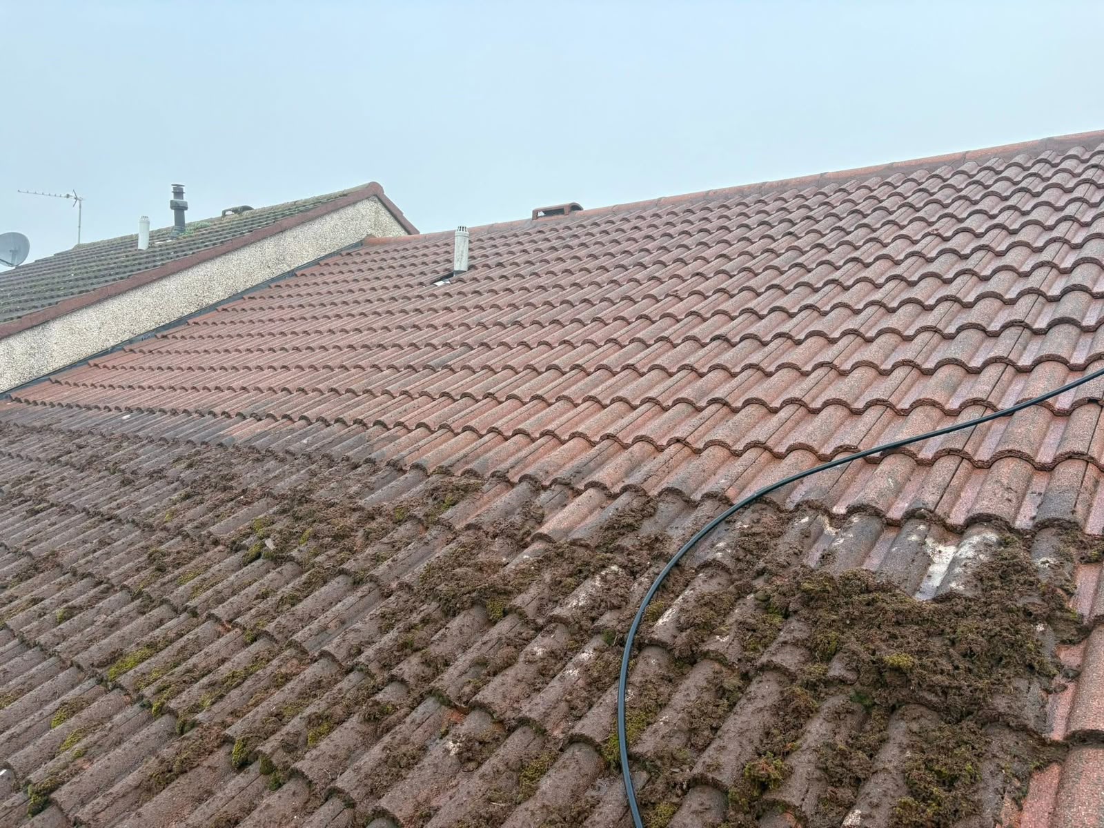 Roof cleaning and moss removal in Glasgow: tile roof part-cleaned showing the difference after moss removal